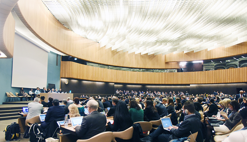 Courtesy of the Earth Negotiations Bulletin / http://www.iisd.ca/climate/adp/adp2-8/